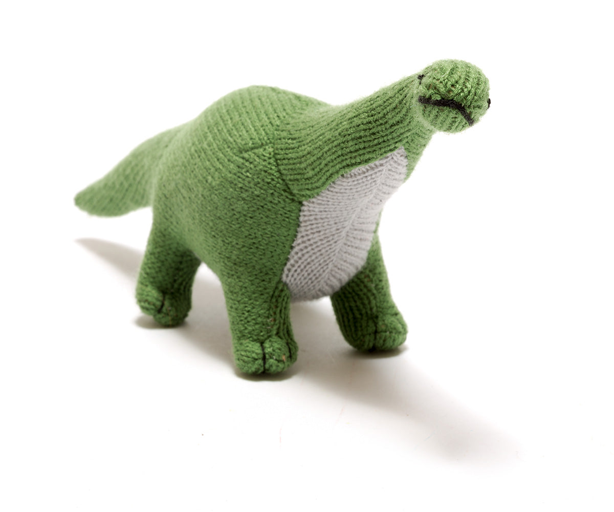 Titanosaur Baby Rattle - Green