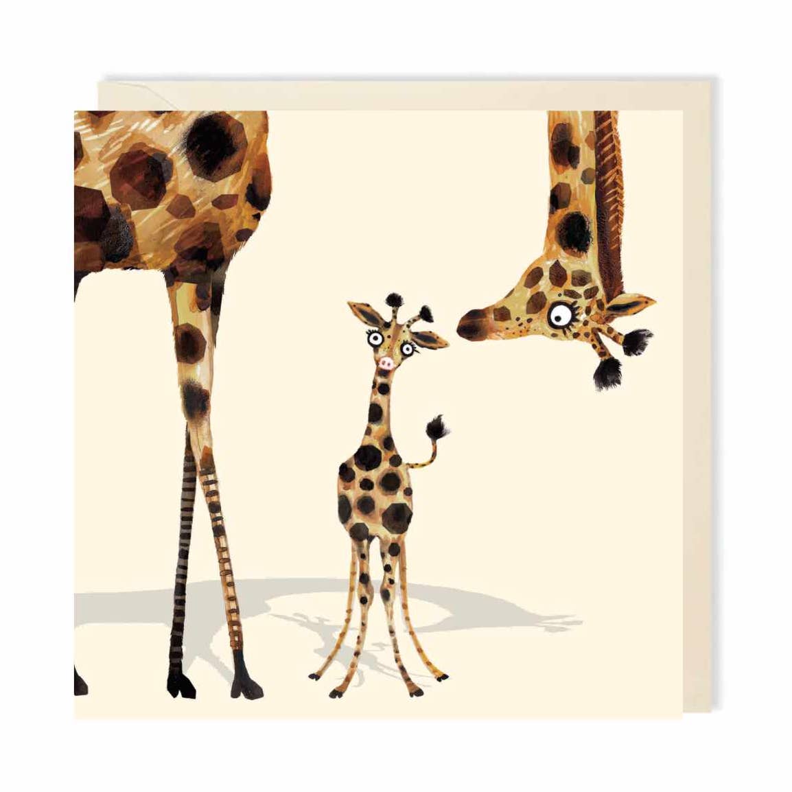 Baby Giraffe