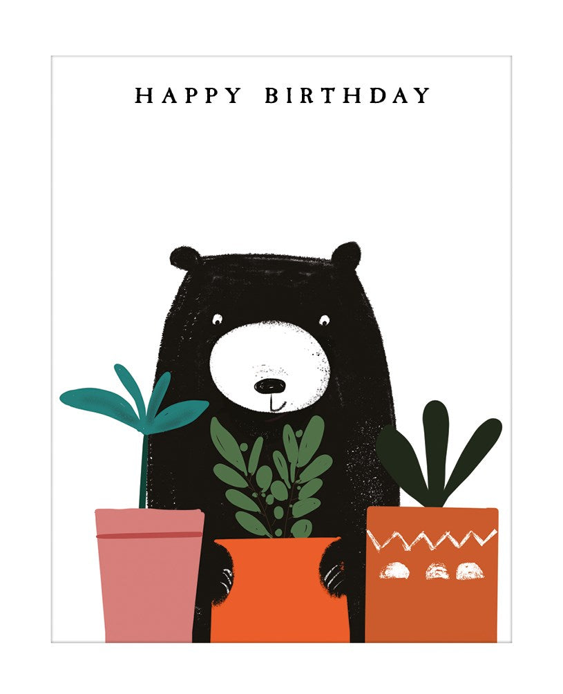Bear And Potted Plants