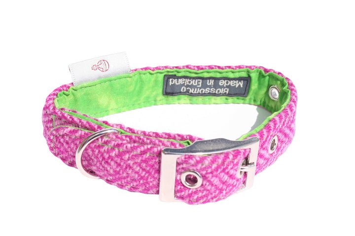 Benbecula - Harris Tweed Dog Collar