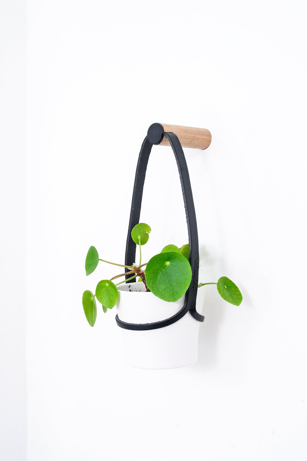Peg Wall Planter - Black