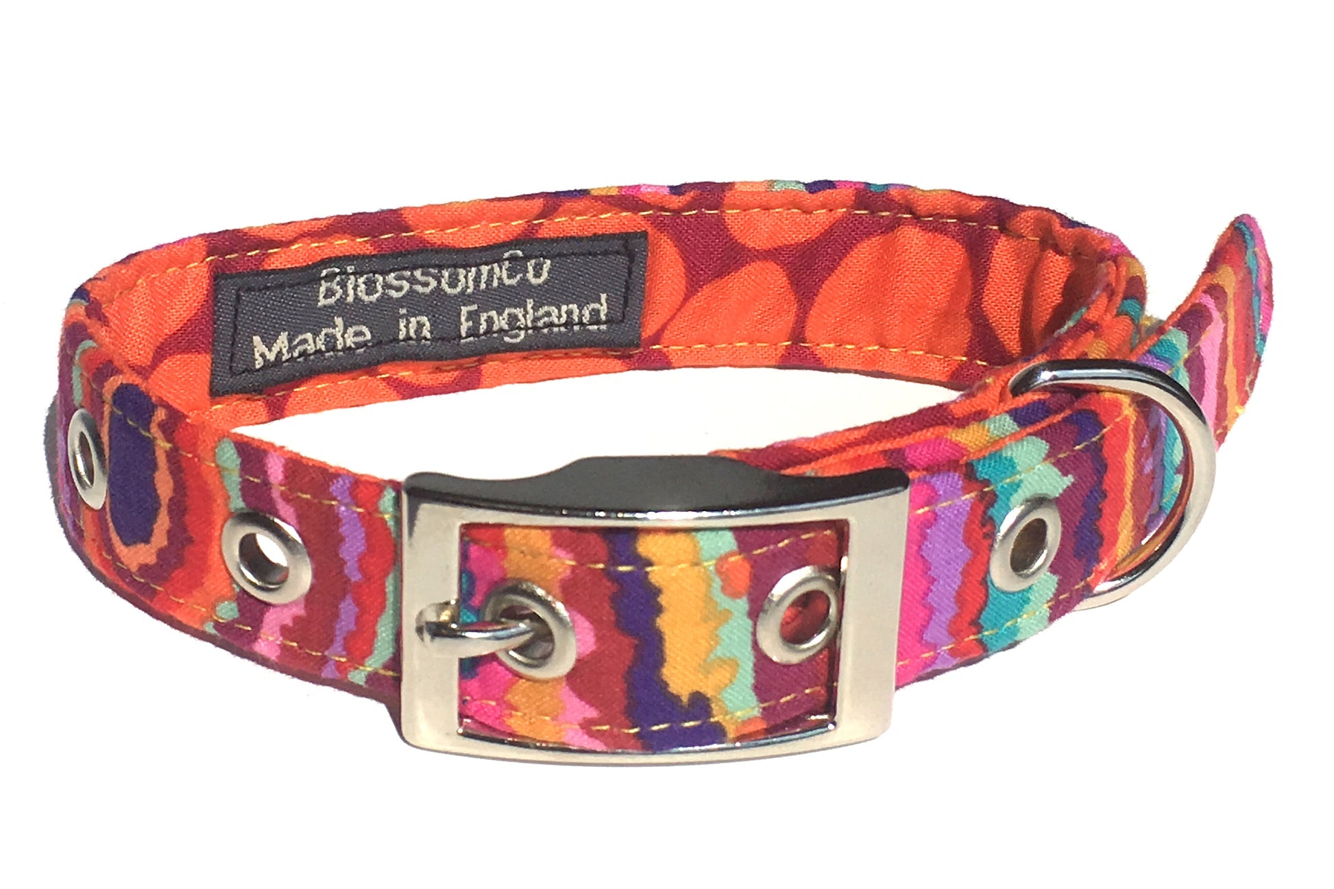 Calypso Funky Dog Collar - Small