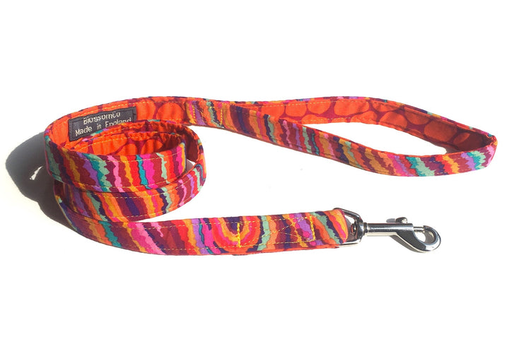 Calypso - Funky Dog Lead