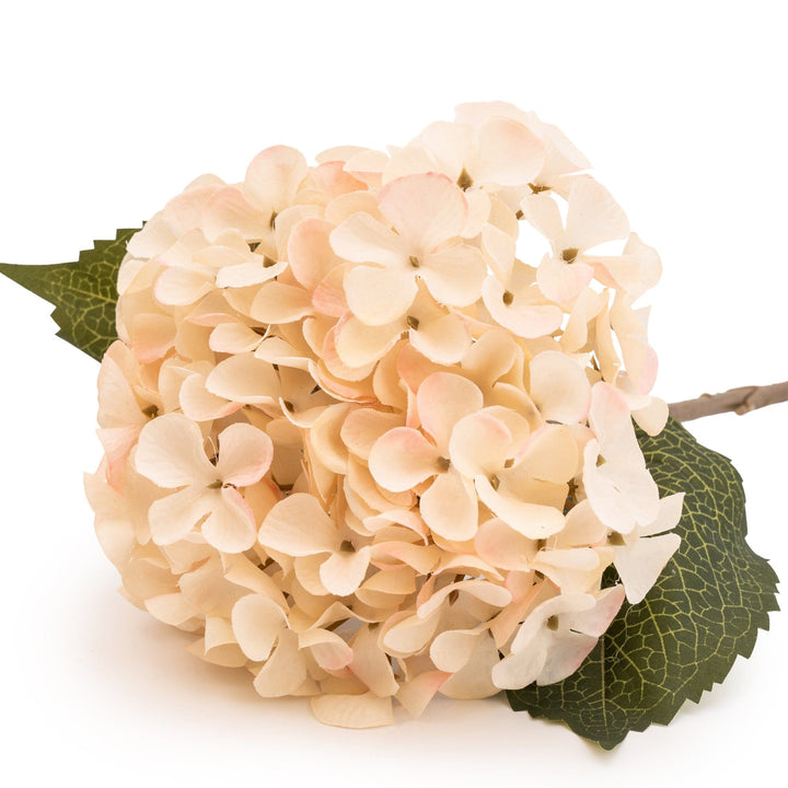 Hydrangea Single Stem Faux Flower - Blush Cream