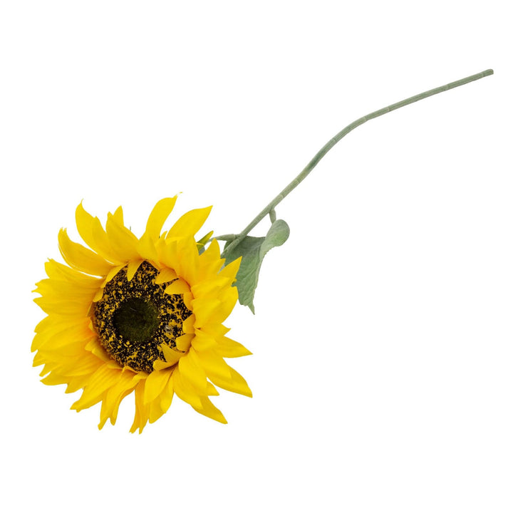 Single Stem Sunflower