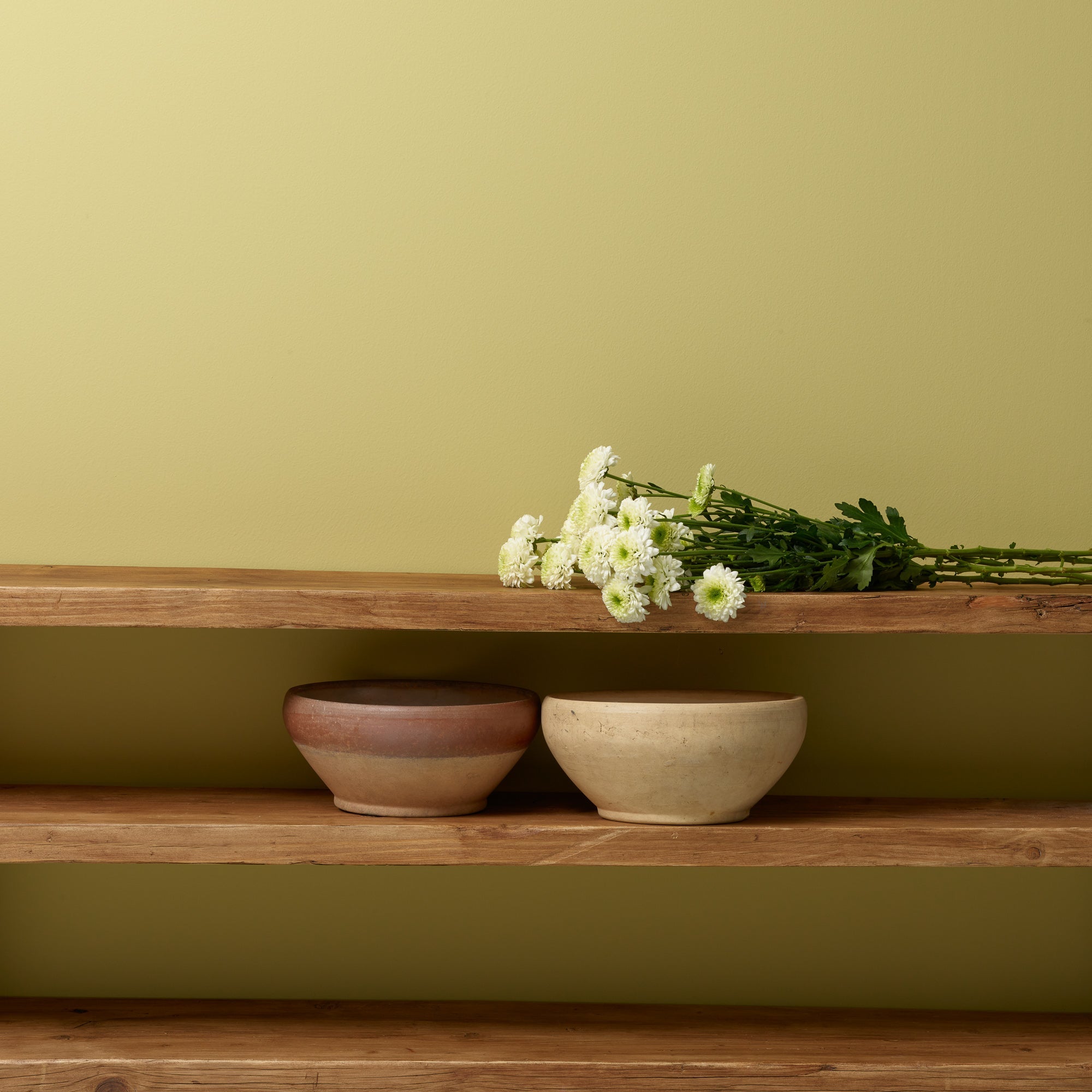 Citrine - Peel & Stick Paint Sample