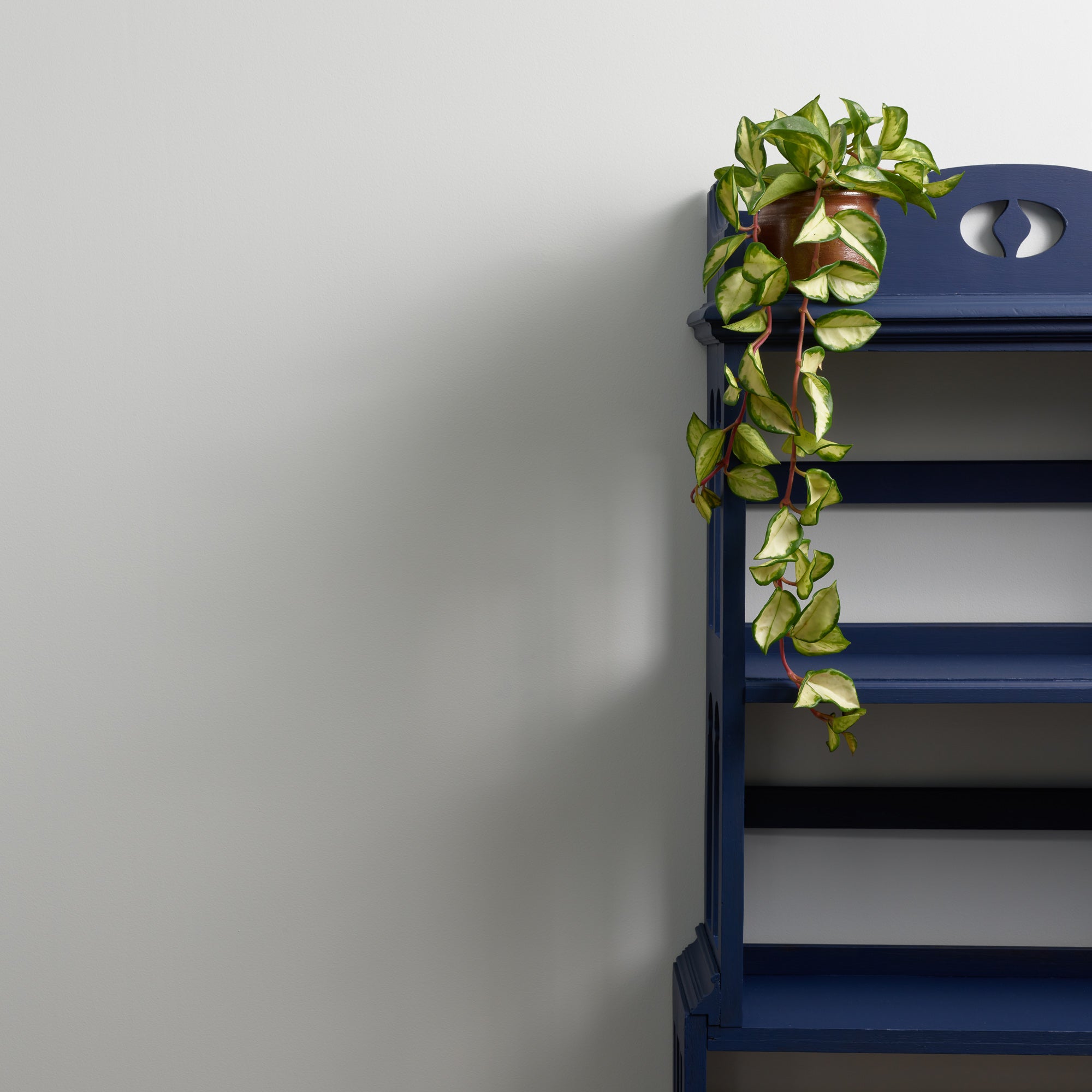 Cloud 9 - Peel & Stick Paint Sample