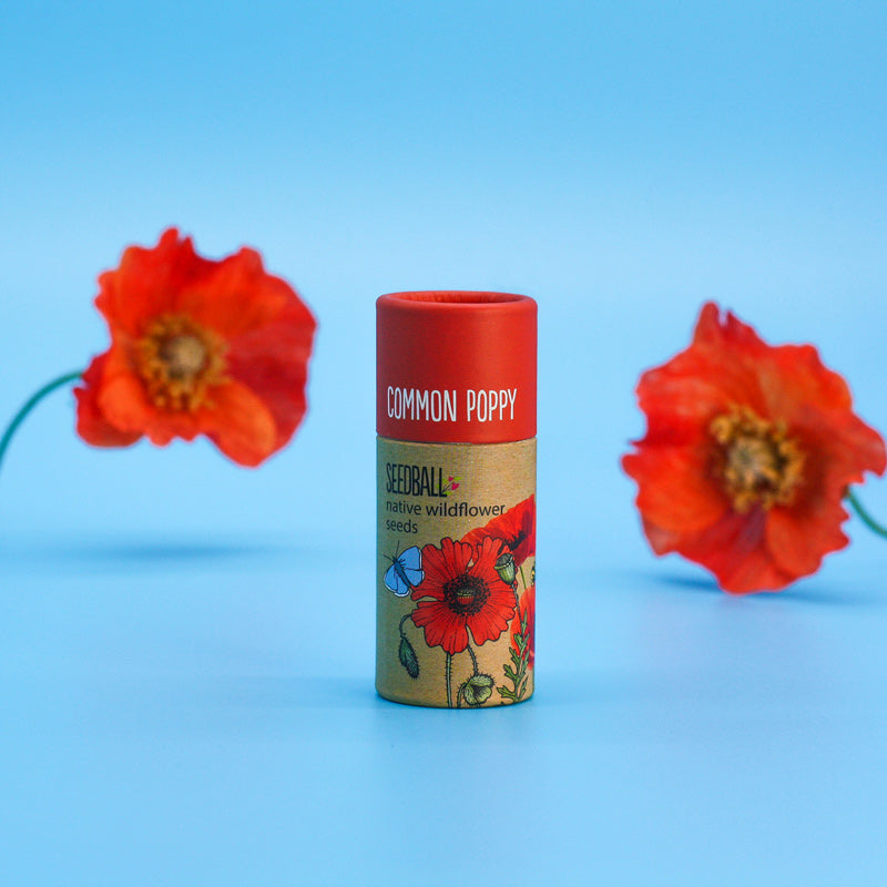 Seedball Tube - Poppy
