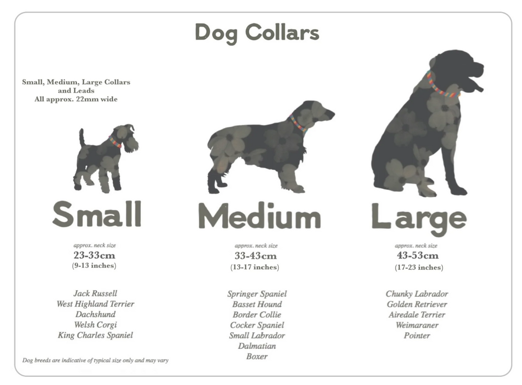 Calypso Funky Dog Collar - Small