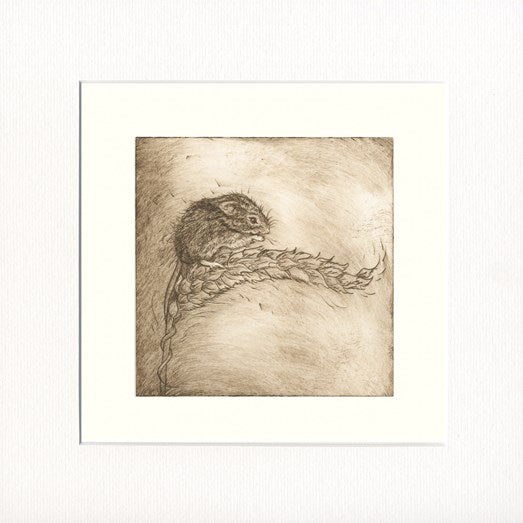 Field Mouse -  Mounted Print