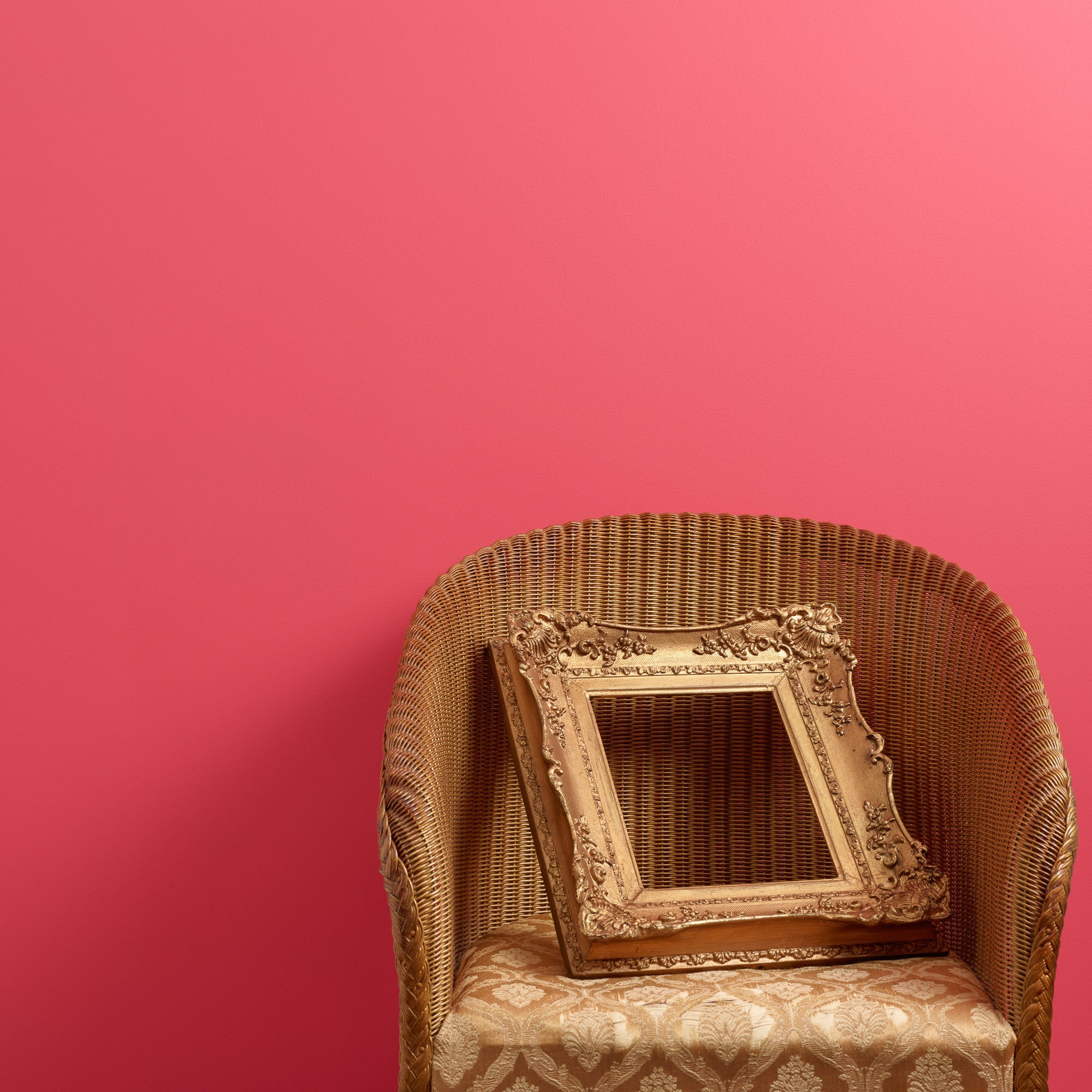 Fifis Fancy - Peel & Stick Paint Sample