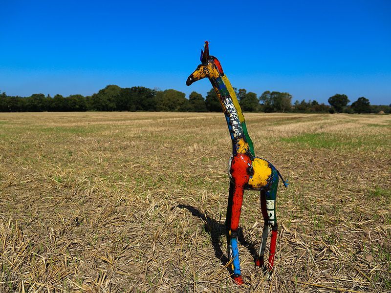 Gerald the Giraffe