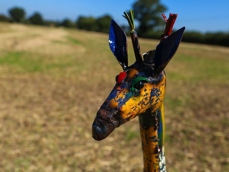 Gerald the Giraffe