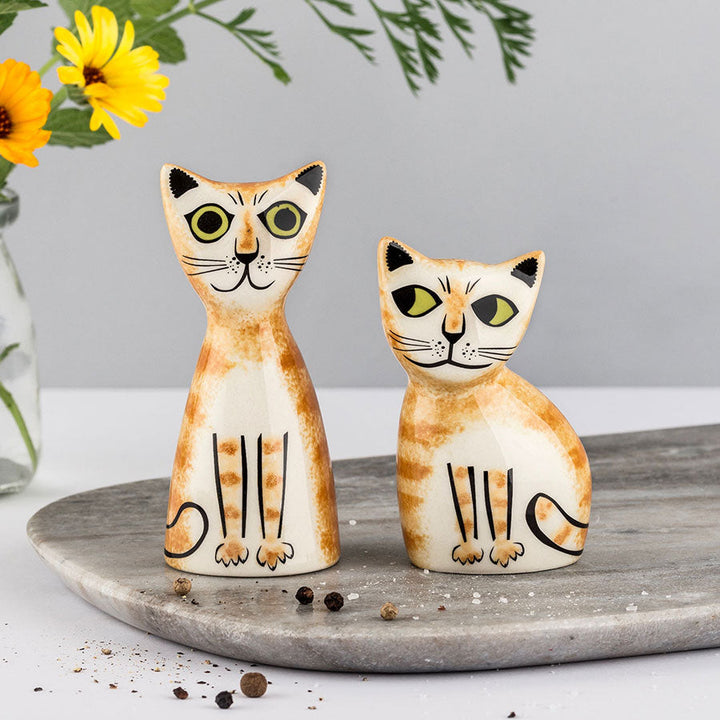 Salt & Pepper Shakers - Ginger Cat