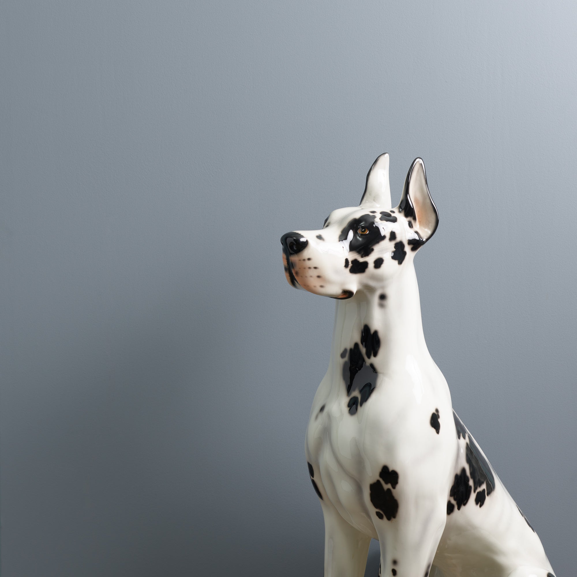 Greyhound - Peel & Stick Paint Sample