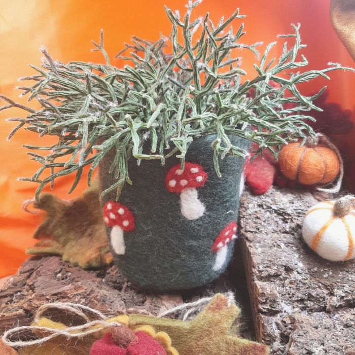 Felt Plant Pot - Toadstool