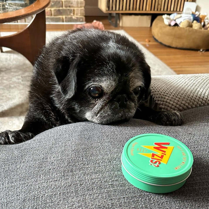 Slipper and Biscuit Tin Of Dog Treats