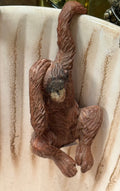 Orangutan Pot Hanger