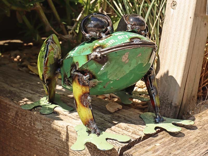 Pad Me Pond Frog