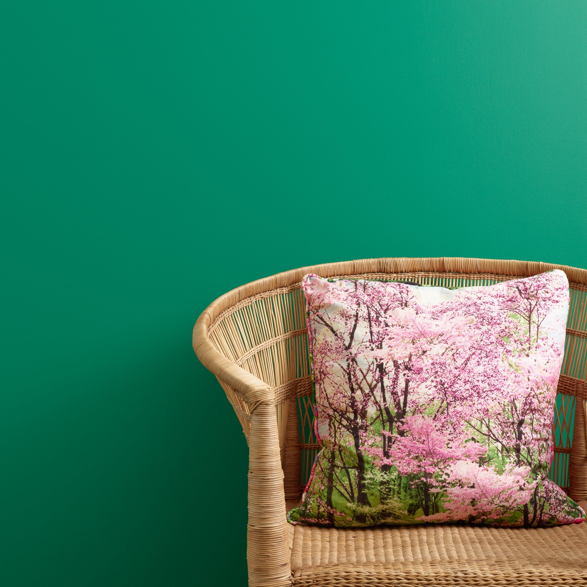 Irish Dance - Peel & Stick Paint Sample