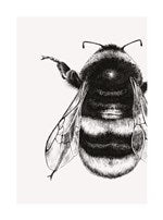 Bumble Bee Greetings Card