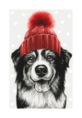 Border Collie With bobble Hat