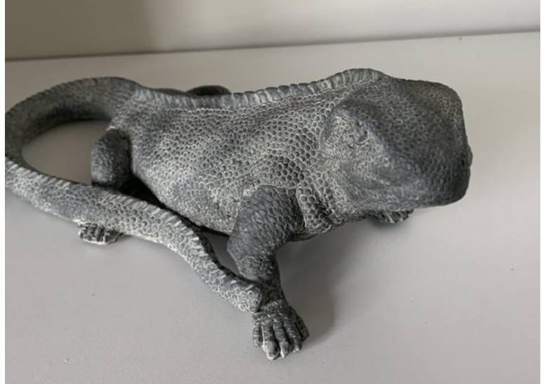 Reptile Ornament