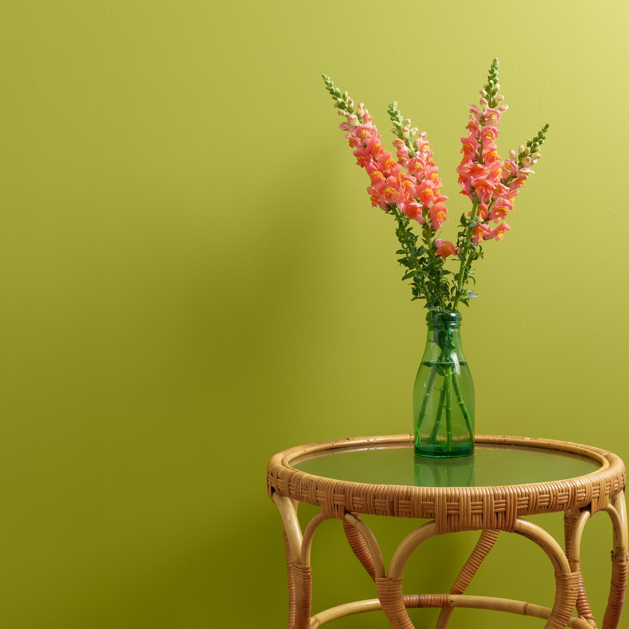 Limelight - Peel & Stick Paint Sample