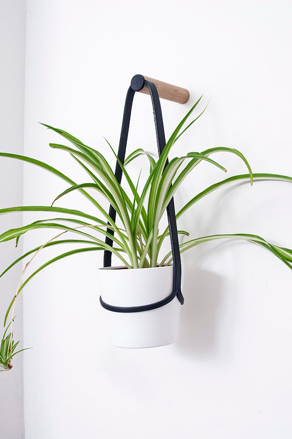 Peg Wall Planter - Black