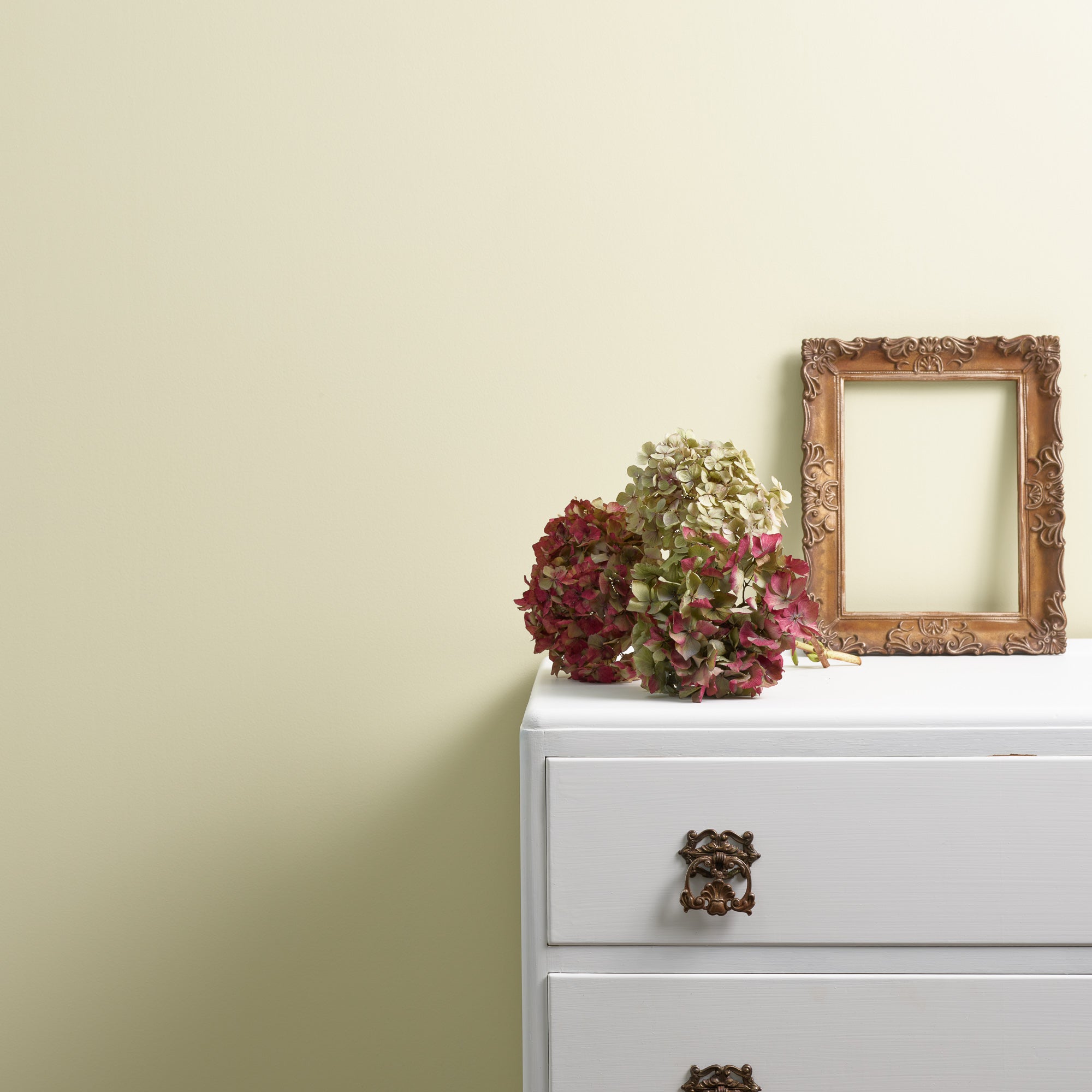 On A Whim - Peel & Stick Paint Sample