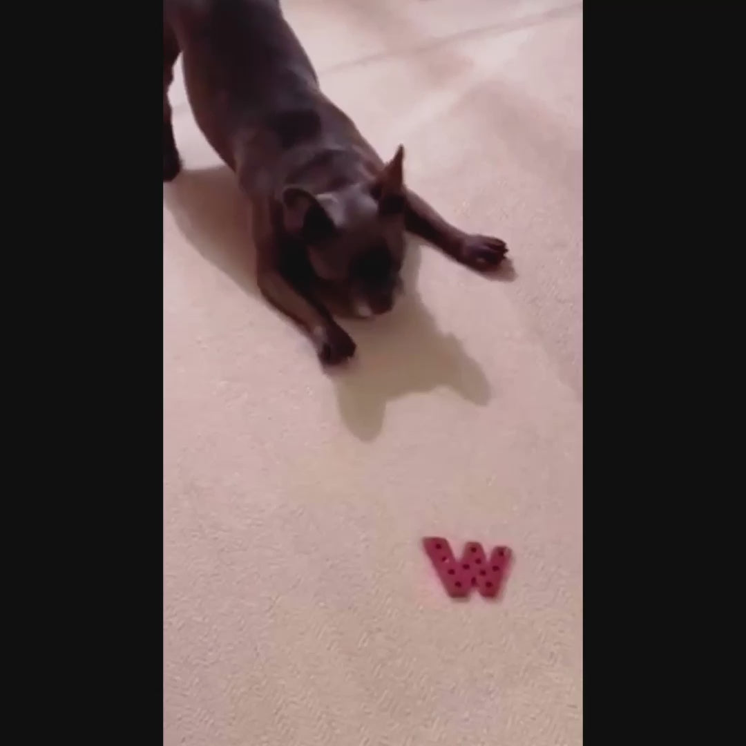 Nutty Dubya Dog Chew