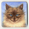 'Sapphire' Cat Coaster