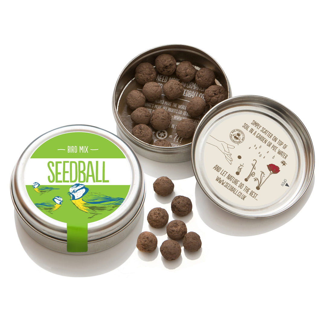 Seedball Wildflower Tins - Bird Mix