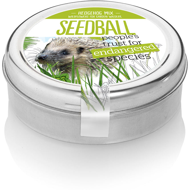 Seedball Wildflower Tins - Hedgehog Mix