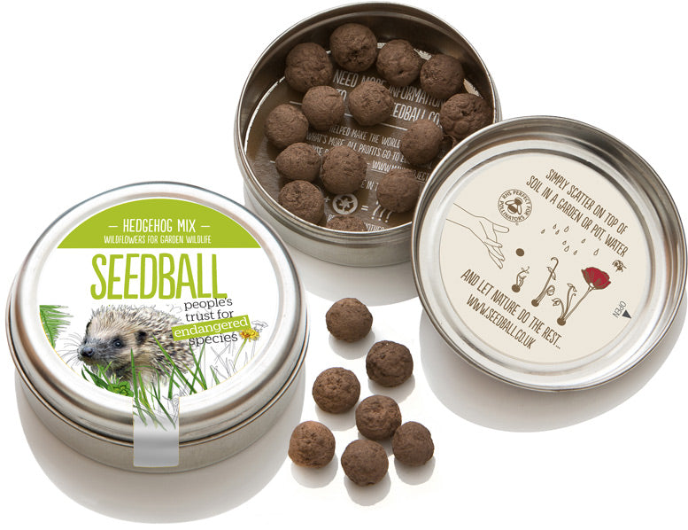 Seedball Wildflower Tins - Hedgehog Mix