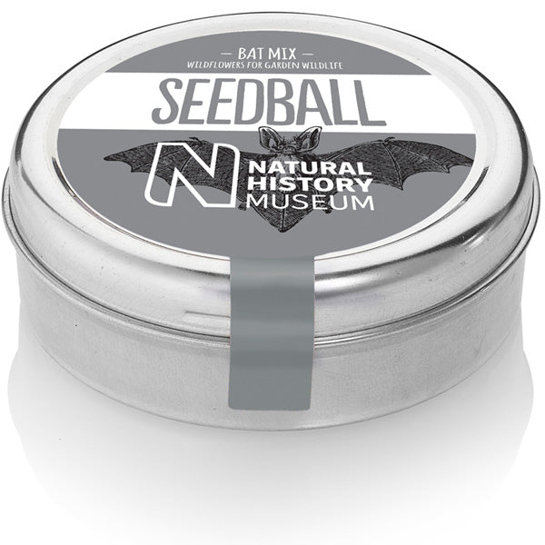Seedball Wildflower Tins - Bat Mix