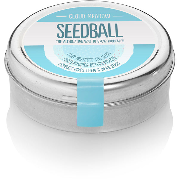 Seedball Wildflower Tins - Snow Mix