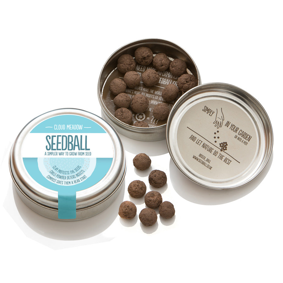 Seedball Wildflower Tins - Cloud Meadow