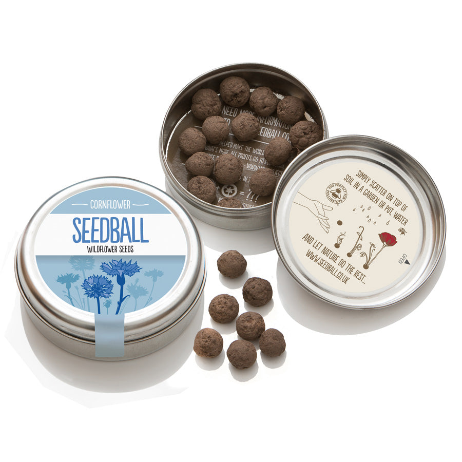 Seedball Wildflower Tins - Cornflower
