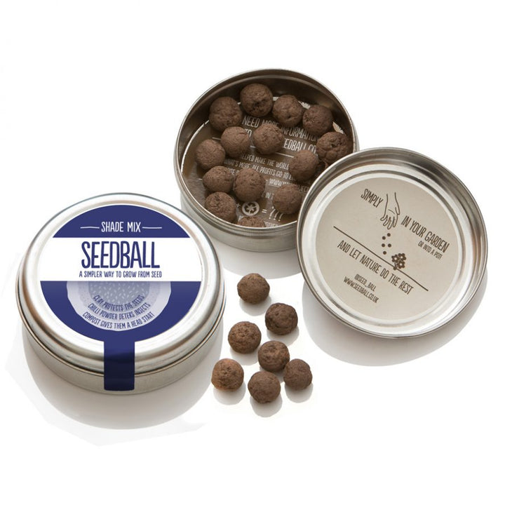 Seedball Wildflower Tins - Shade Mix