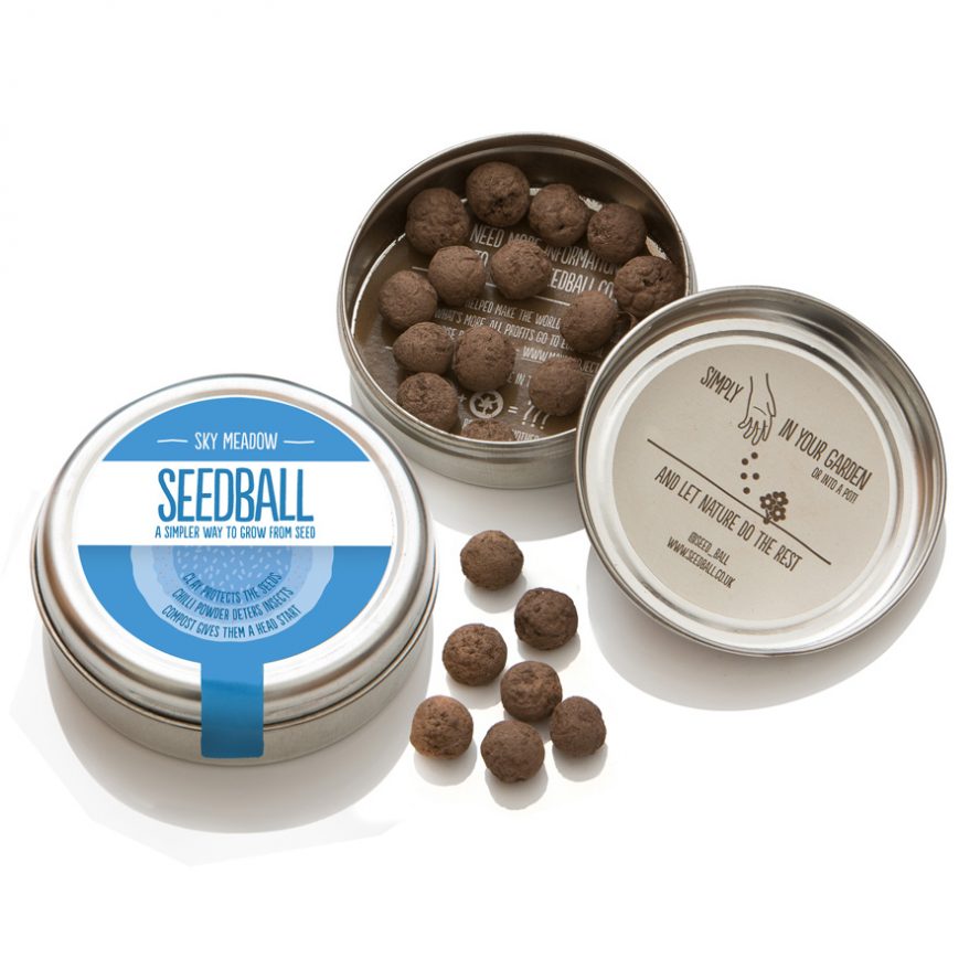 Seedball Wildflower Tins - Snow Mix