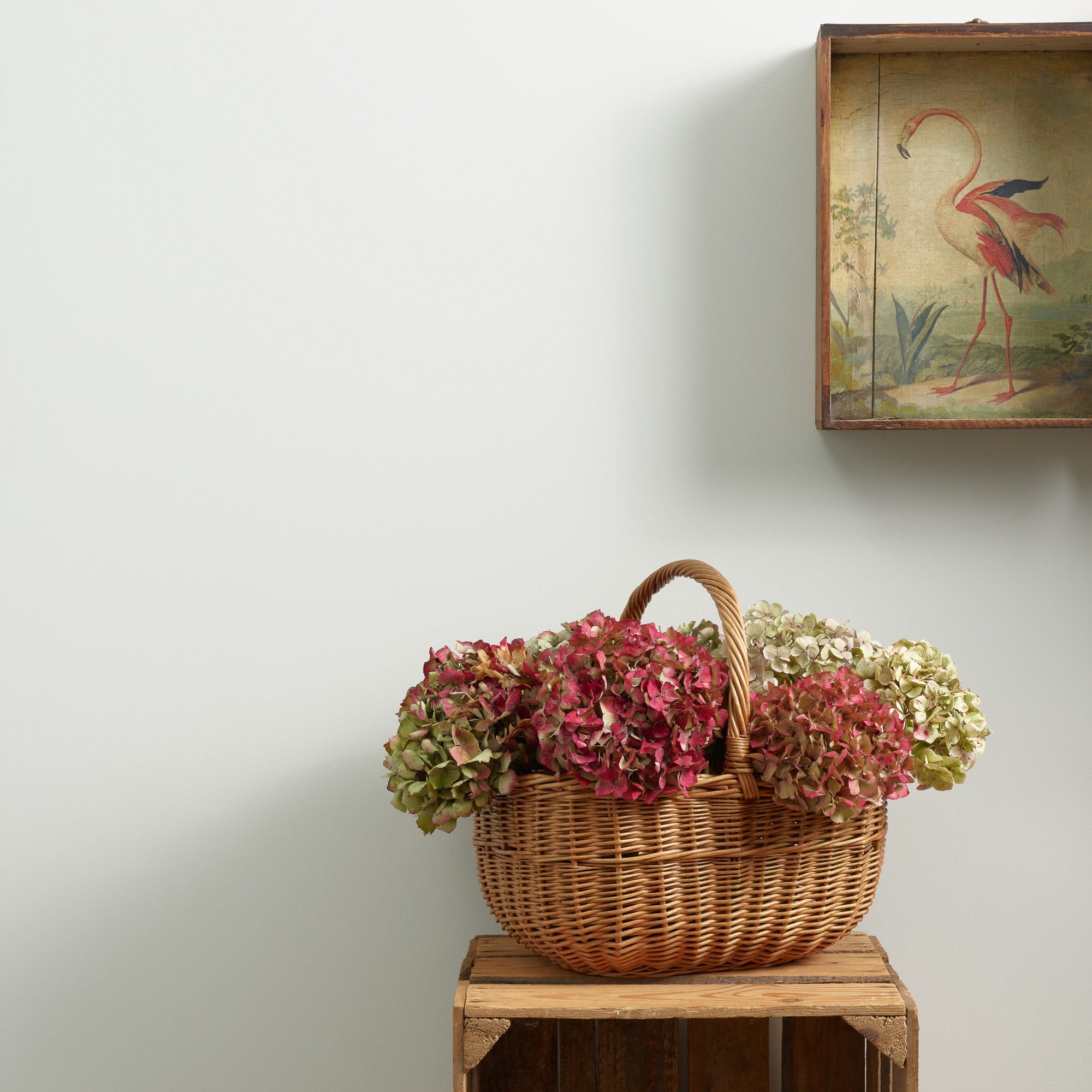 Serenity - Peel & Stick Paint Sample