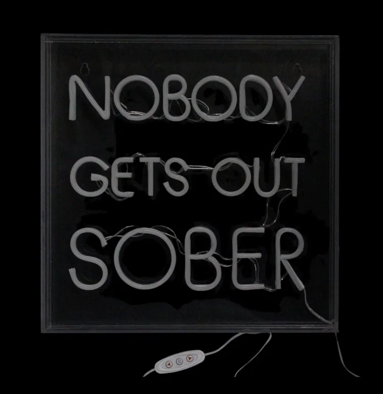 Nobody gets Out Sober Neon LED Neon Acrylic Light Box