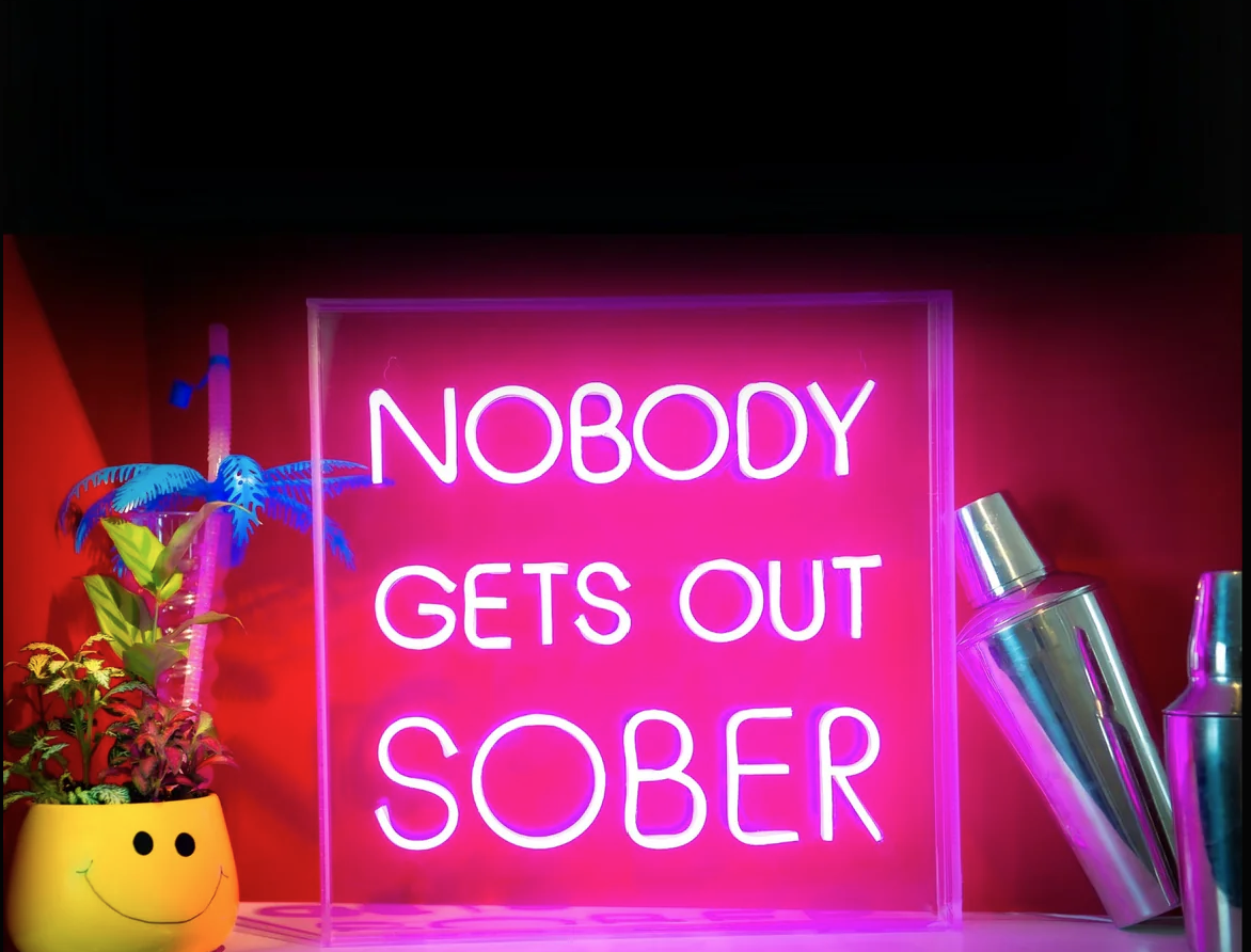 Nobody gets Out Sober Neon LED Neon Acrylic Light Box