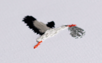 Just Landed New Baby Card