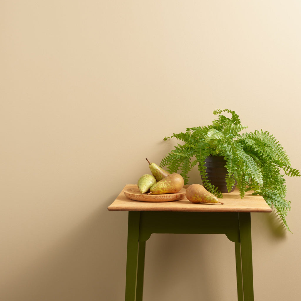 Take The Biscuit - Peel & Stick Paint Sample