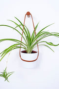 Peg Wall Planter - Tan