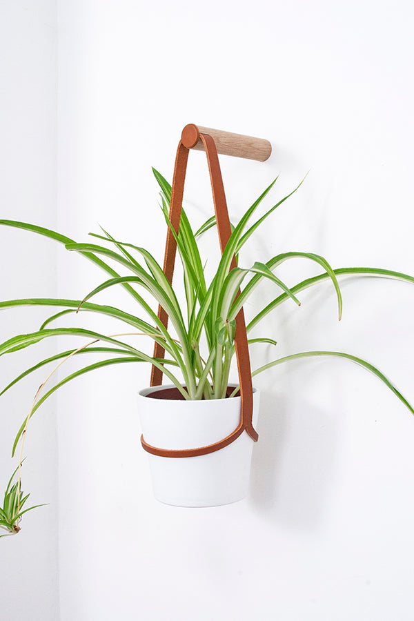 Peg Wall Planter - Tan
