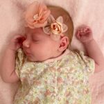 Pink Roses Hairbow Set