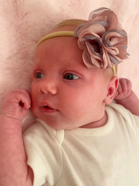 Pink Roses Hairbow Set